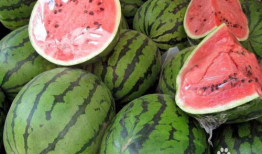 吃瓜爆料博主卖东西,吃瓜爆料博主带你解锁购物新体验